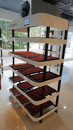 NeoGreens multi-tier indoor growing rack with trays of microgreens